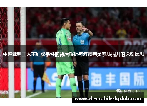 中超裁判王大雷红牌事件的背后解析与对裁判员素质提升的深刻反思