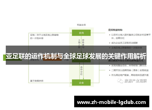 亚足联的运作机制与全球足球发展的关键作用解析