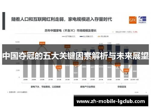中国夺冠的五大关键因素解析与未来展望