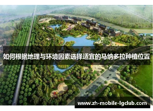 如何根据地理与环境因素选择适宜的马纳多拉种植位置