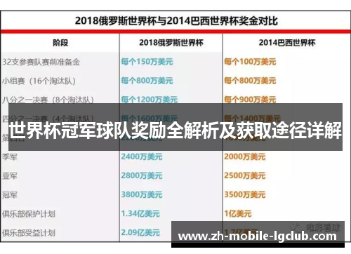 世界杯冠军球队奖励全解析及获取途径详解