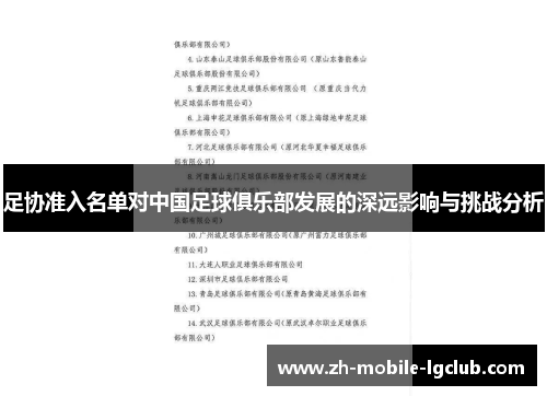 足协准入名单对中国足球俱乐部发展的深远影响与挑战分析
